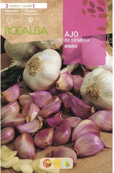Bolsa de ajo morado de siembra de 500 g