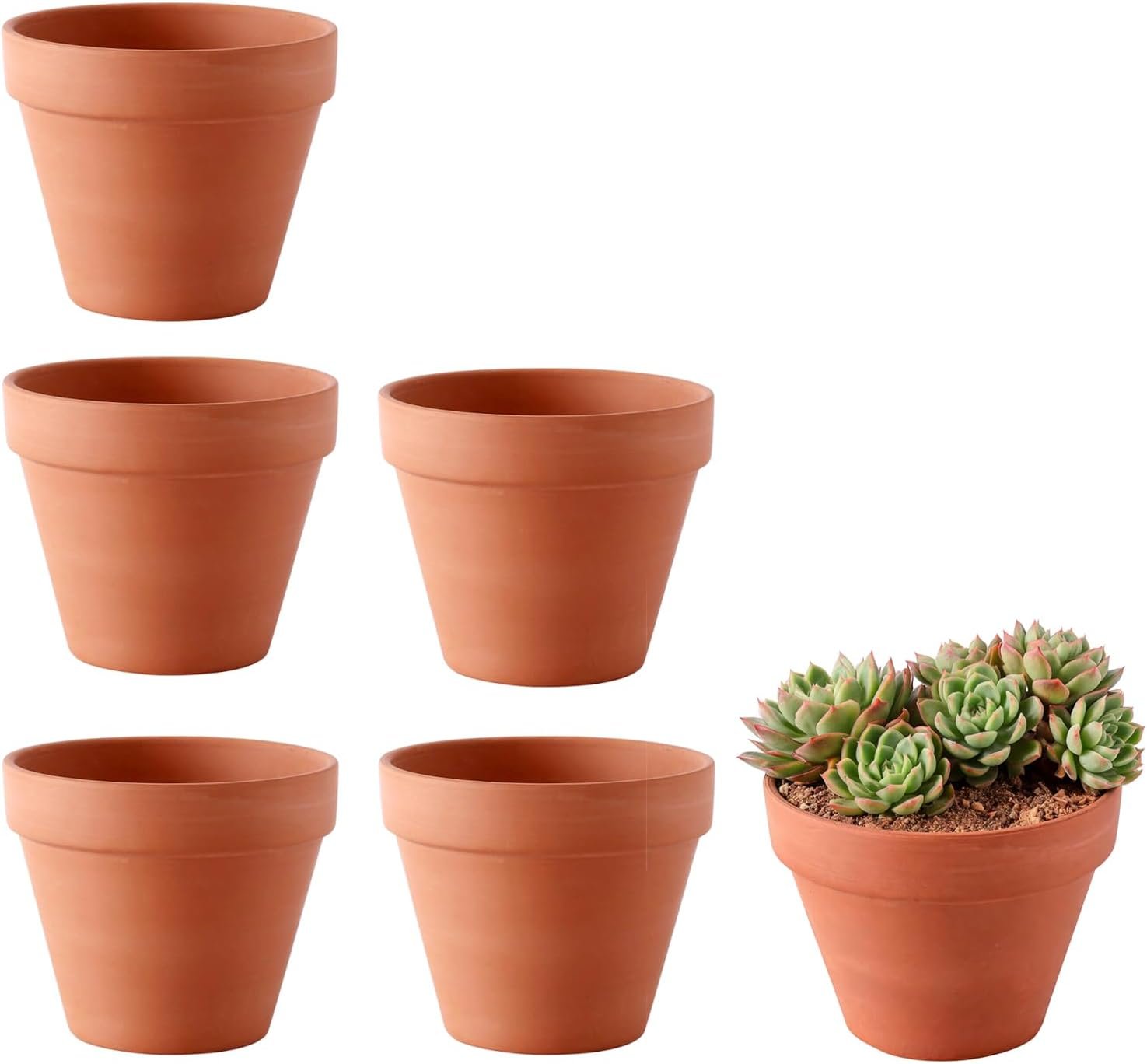 Seis macetas de terracota FDKene con drenaje