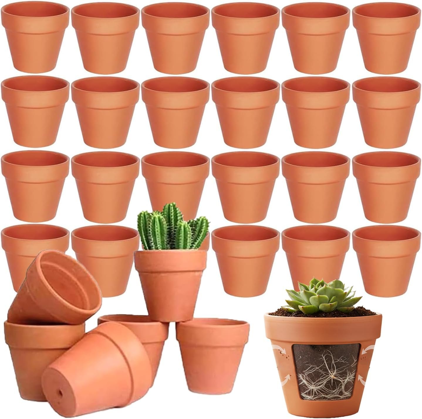 Doce macetas pequeñas de terracota Tuwyii con drenaje