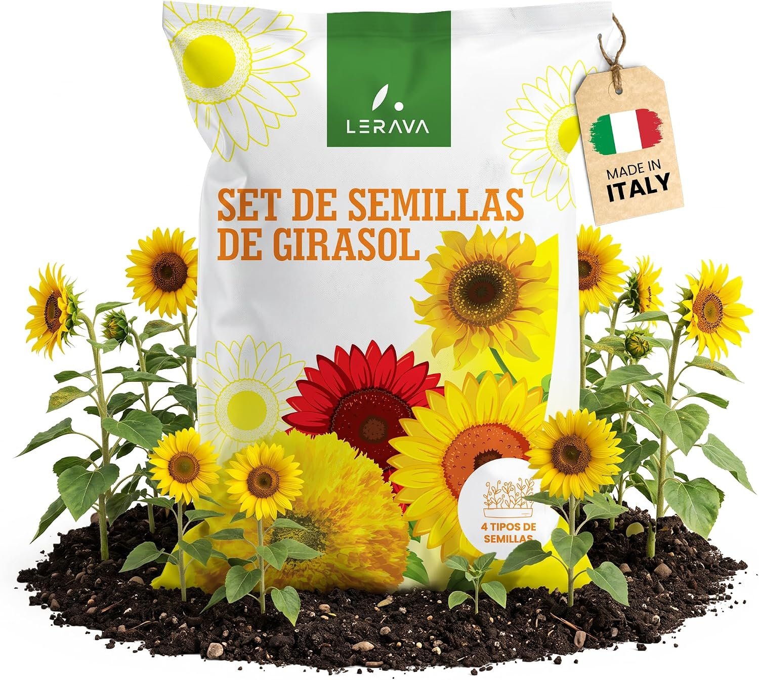 Set LERAVA de semillas de girasol de cuatro variedades