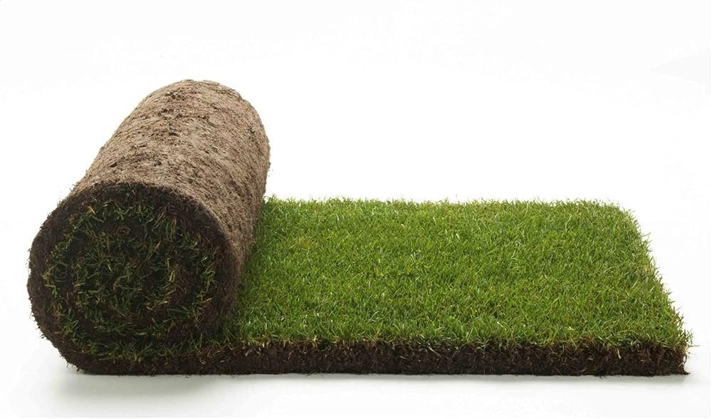 Tepe de césped natural de 40 × 123 cm