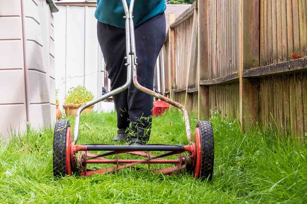 Cómo elegir un cortacésped ecológico para cuidar tu jardín y reducir tu huella de carbono